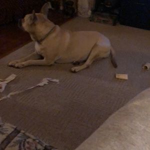 Meet your Posher, Tina